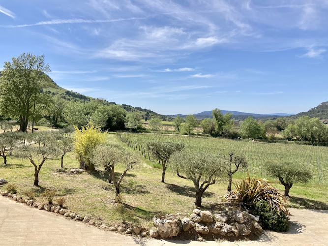 VIGNES EMOI - Vineyard Tour and Wine Tasting in Provence -
