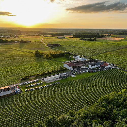 Domaine Daridan