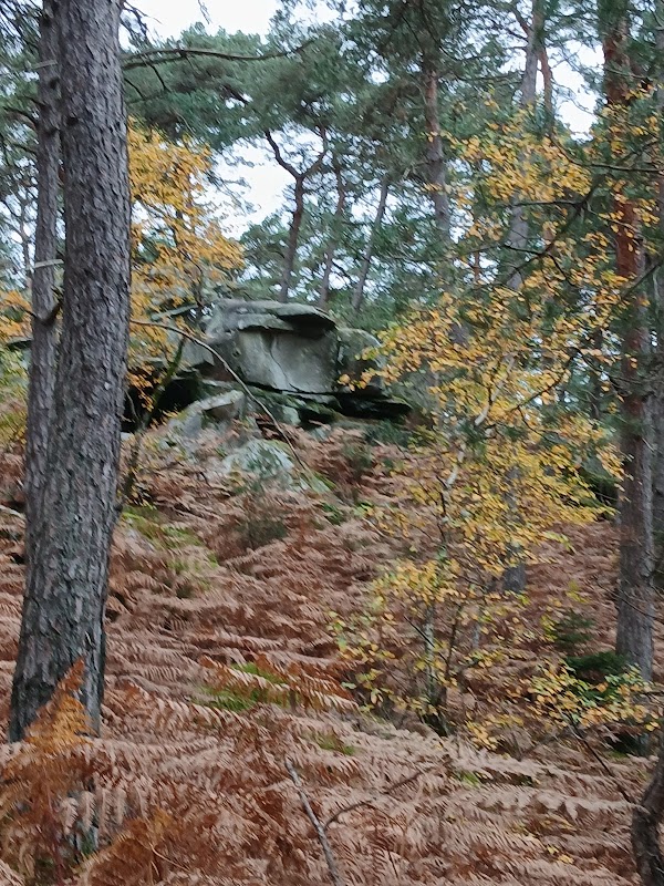 Forêt de Fontainebleau - Sentier des Gorges de Franchard