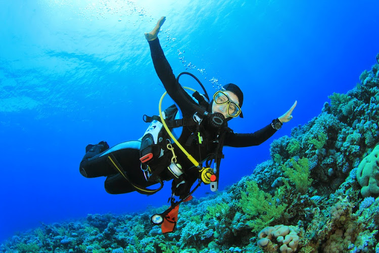 DIVE IS FUN