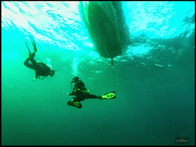 Ecole de Plongée et d’Apnée Planetocean