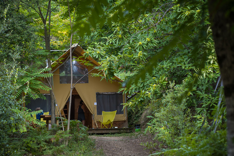 Bivouac nature