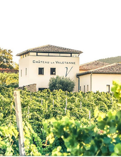 Château la Valetanne | Domaine Viticole bio AOC Cotes de Provence | La Londe Les Maures