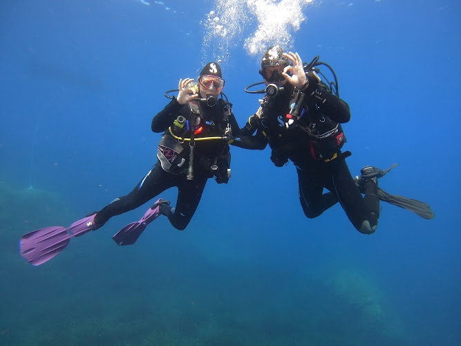 Diving Calvi a piaghja