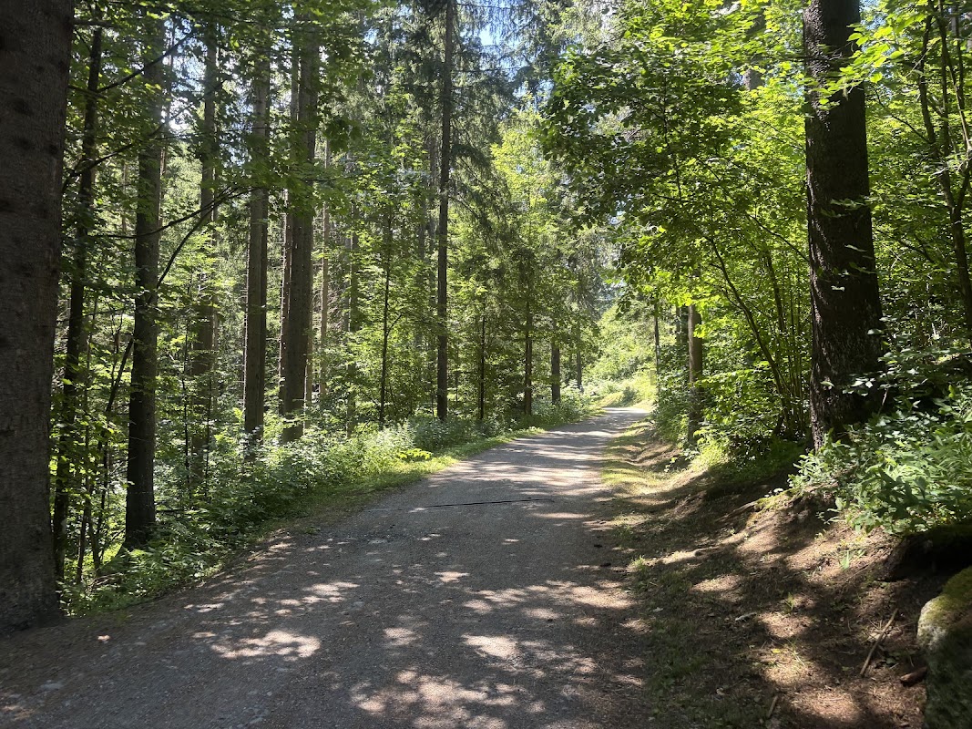 Sentier des Cerfs