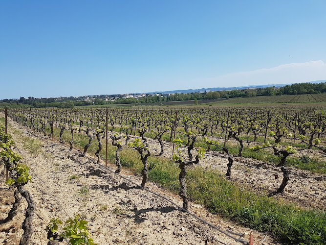 Château Auzias Paretlongue (Accès par Pennautier)