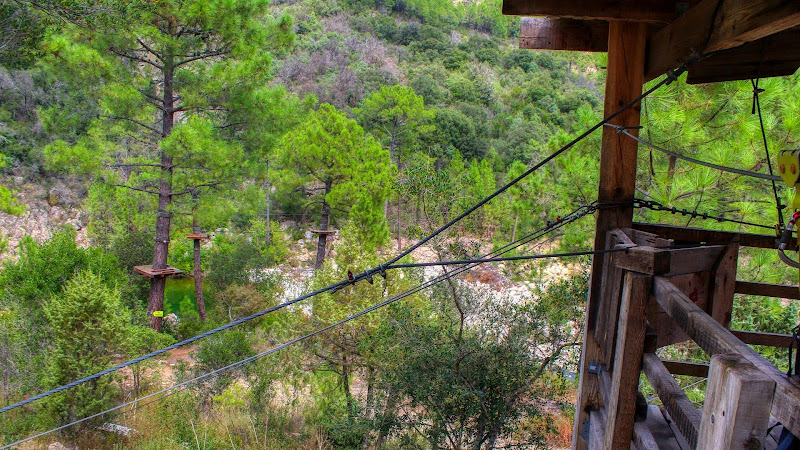 Forest Parc