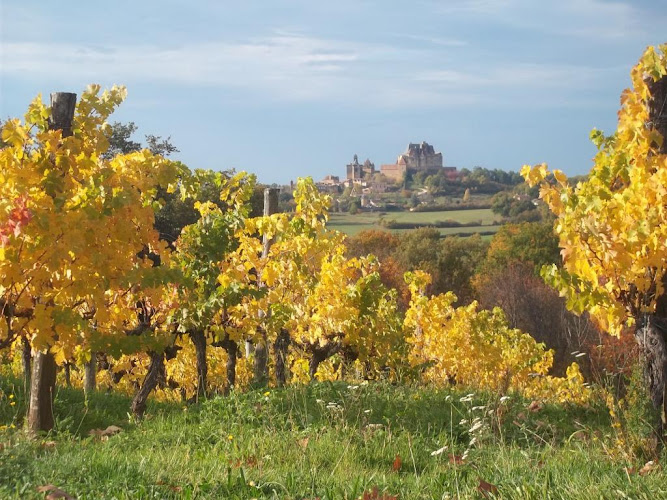 Domaine de la Tuque - Périgord