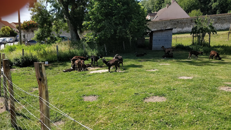 Ferme d' Ecancourt - Association d'éducation à l'environnement
