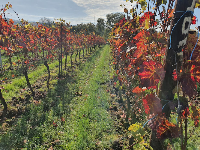 Domaine du Ry d'Argent