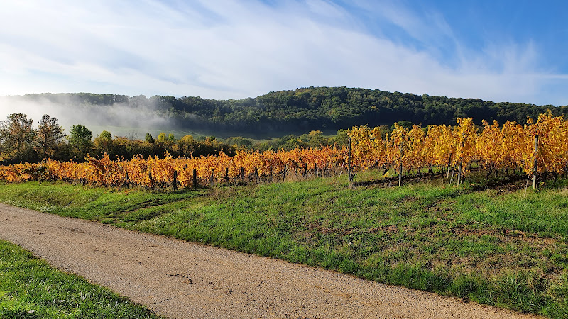Domaine Oury-Schreiber