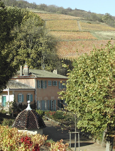 CHATEAU DE JAVERNAND - dégustation vin bio - visite domaine vigneron à Chiroubles
