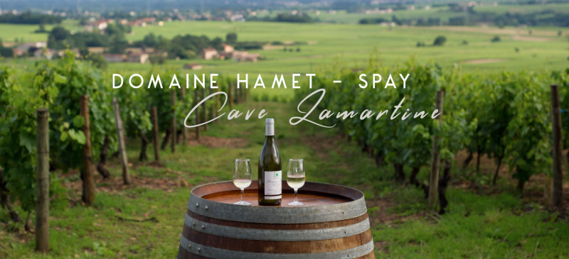 Domaine HAMET-SPAY - Cave LAMARTINE