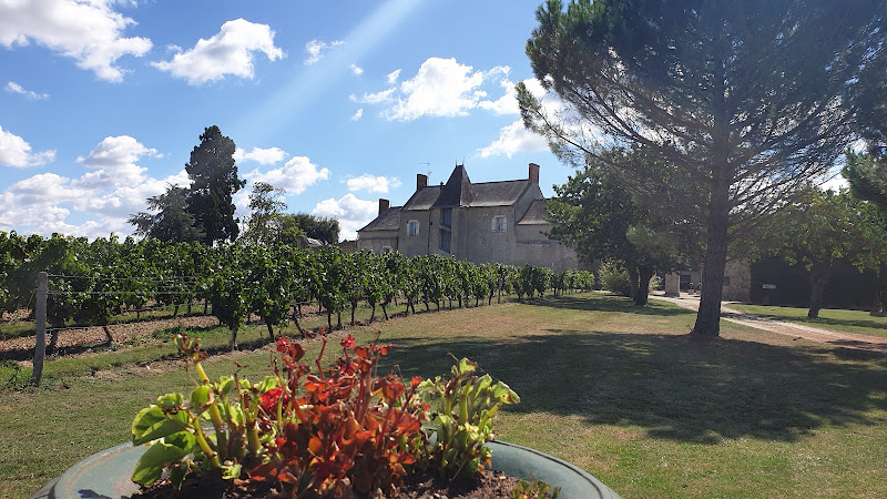 Domaine de Pied Flond