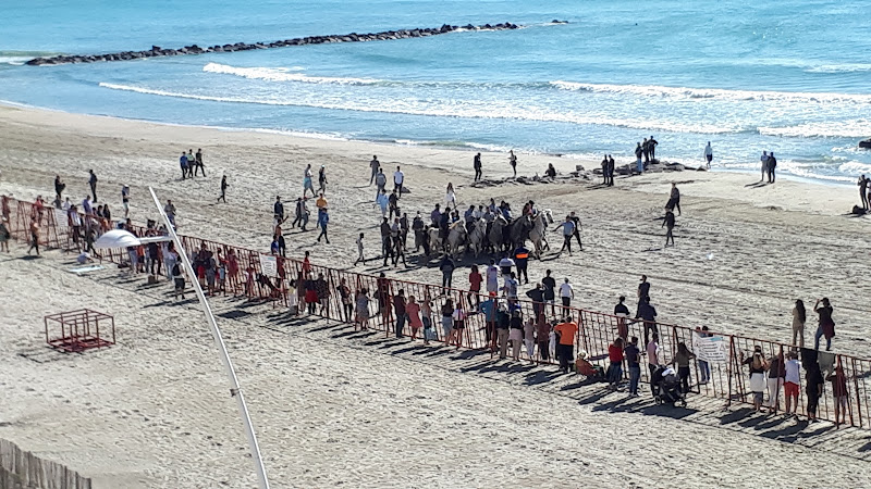 Plage de l’Hôtel de Ville