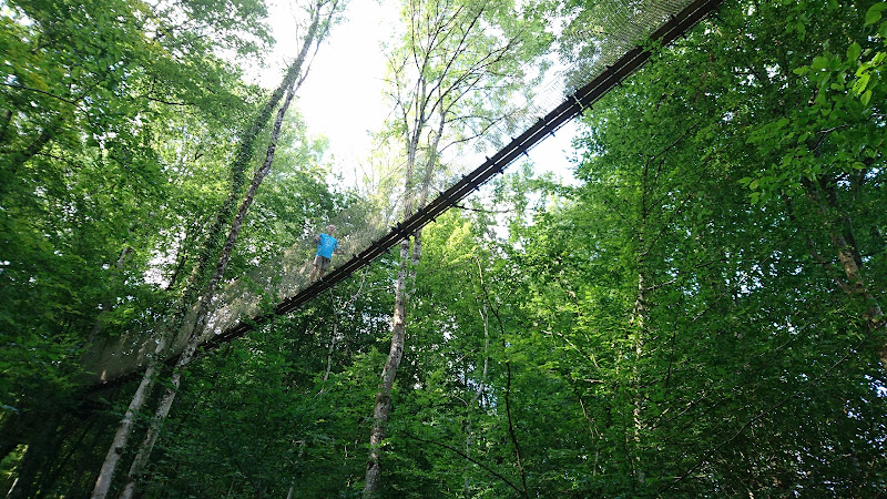 Le Chêne Perché