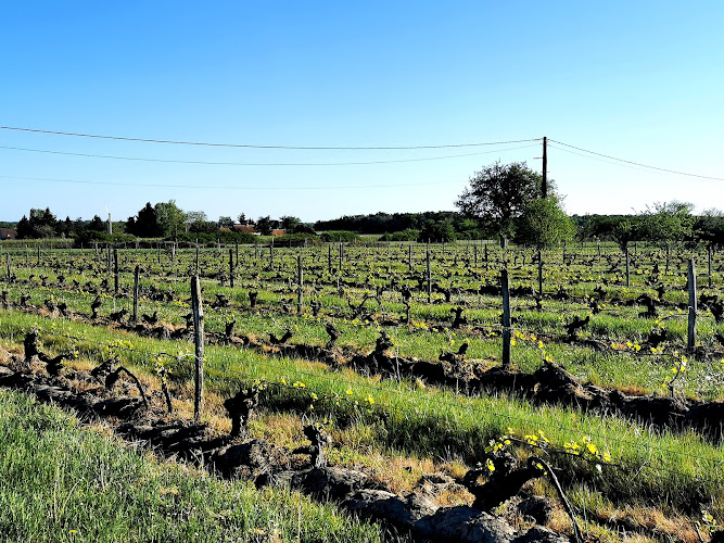 Domaine du Vardet