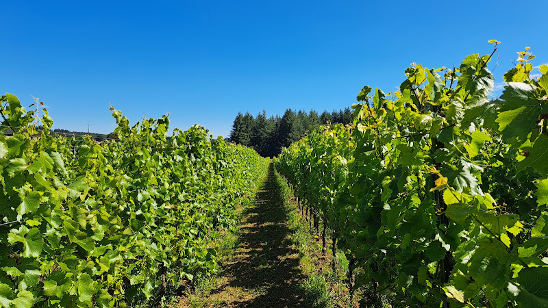 Domaine de Bellefontaine