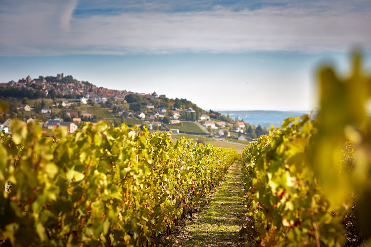 Domaine Vacheron Vignerons