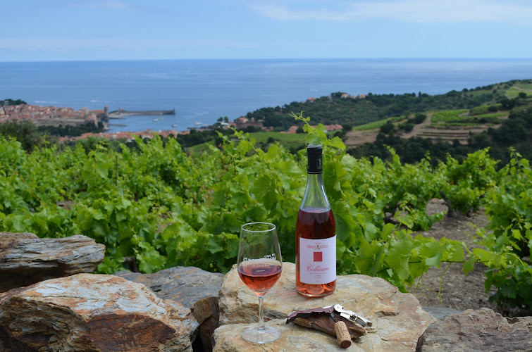 Domaine Berta-Maillol