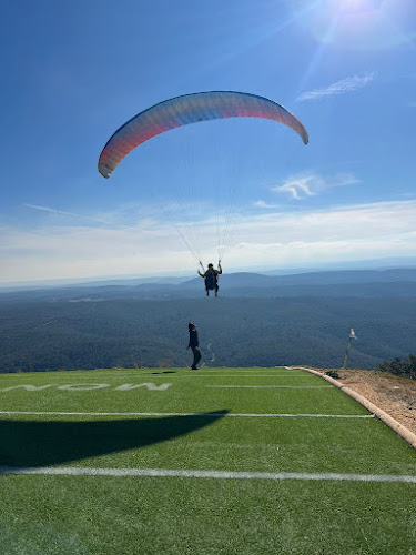 VIENTO PARAPENTE