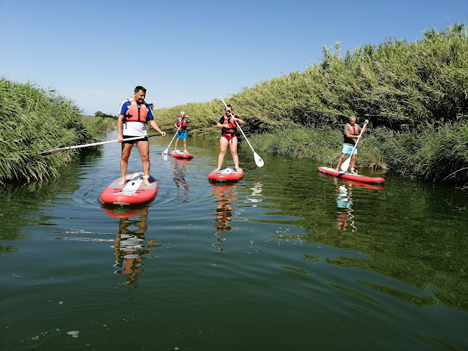 Paddle Adventures