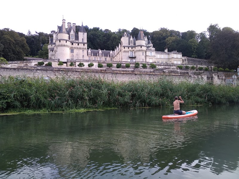 Sensation Paddle