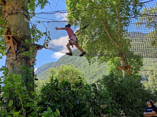 La Forêt Suspendue