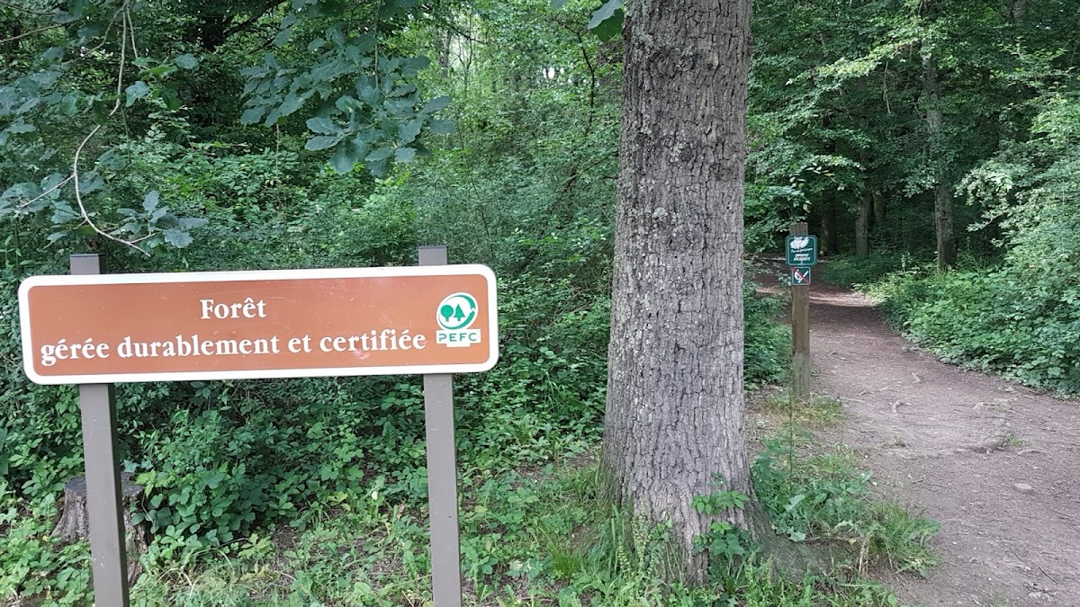 Forêt de la Flachère