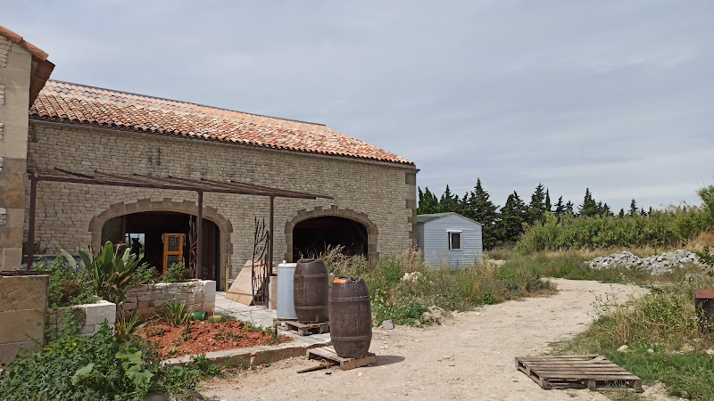 Domaine de l'anchois - Vin - Dégustation - Œnotourisme