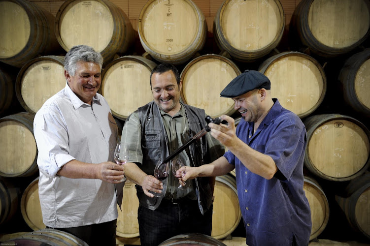 SAS les Vins de Vienne