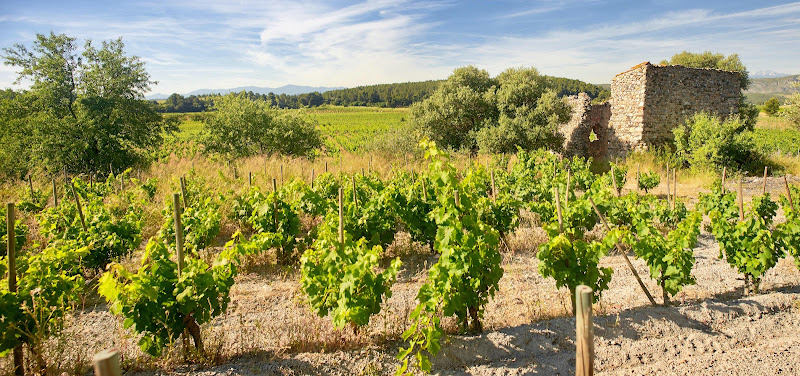 Domaine Rière Cadène