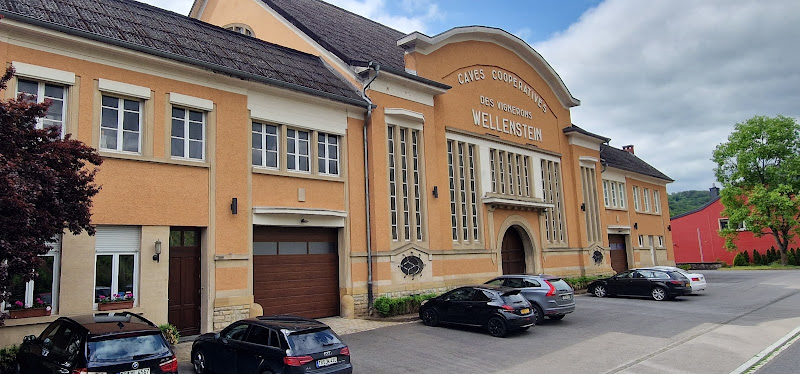 Domaines Vinsmoselle - Caves des Vignerons Wellenstein