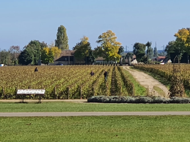 Château de Meursault