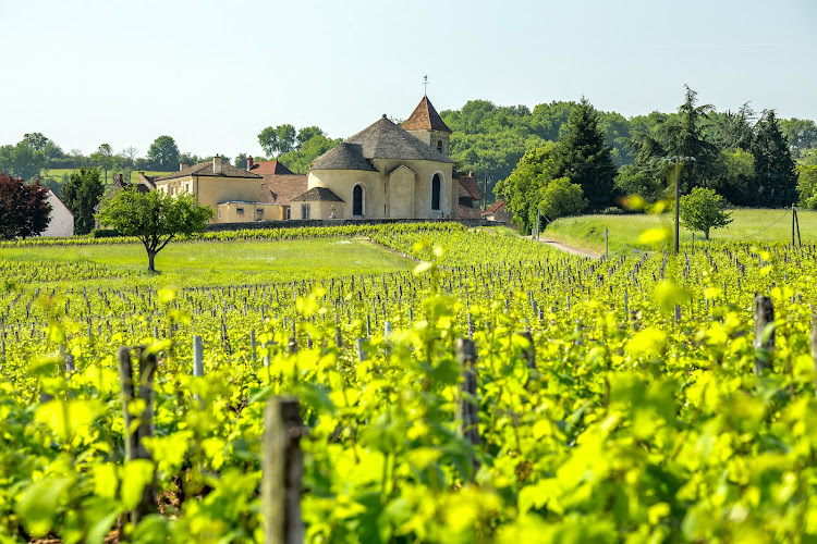 Domaine Masse - Grand Vin De Bourgogne