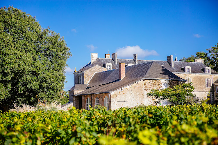 Vignobles Günther-Chéreau , Château du Coing