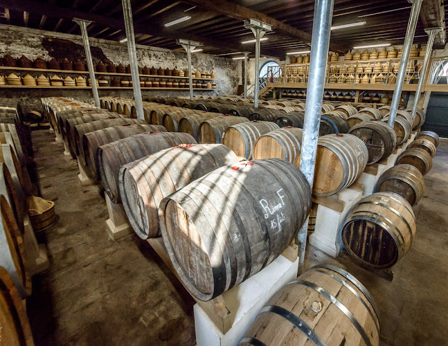 Visites des chais GROSPERRIN