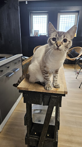 Animaland Ô Toulouse & Cha'ppuccino Muret