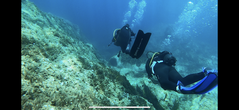 Tizzano Plongée - Club de Plongée Sous-Marine