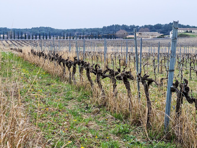 Domaine des Gravennes