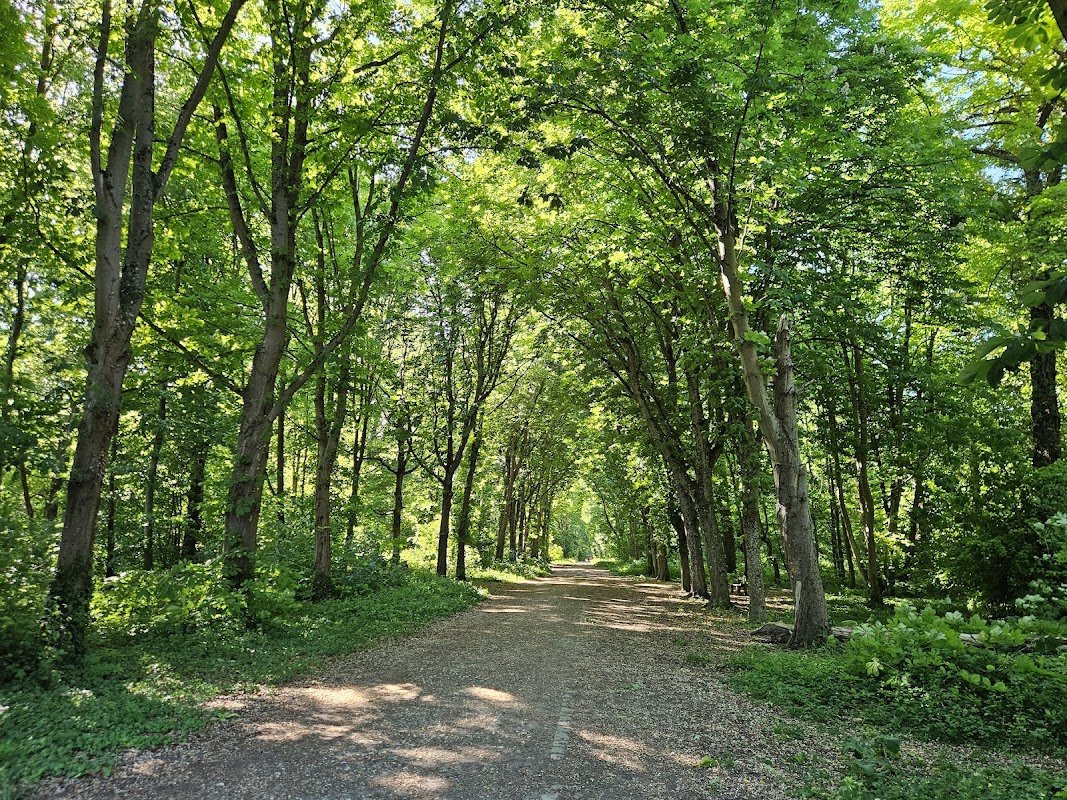 Forêt de Saint-Germain-en-Laye
