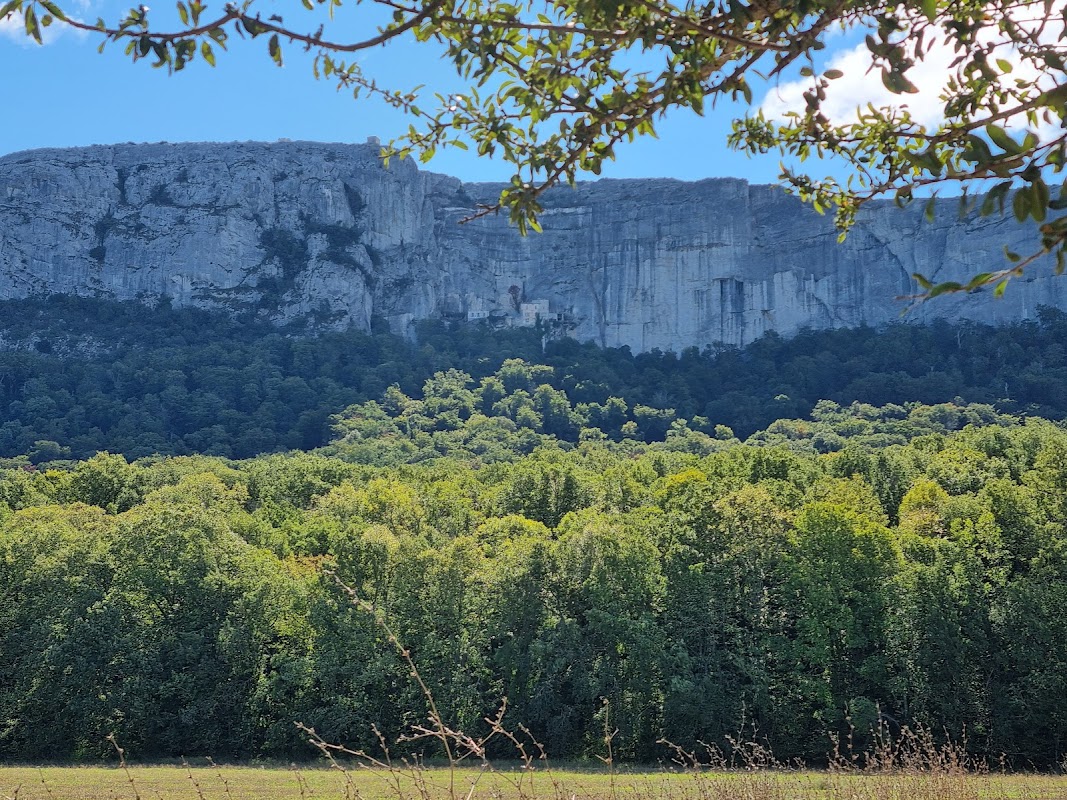 Forêt de la Sainte-Baume