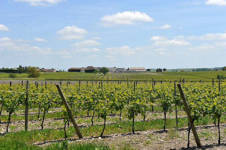 Cognac Château Montifaud