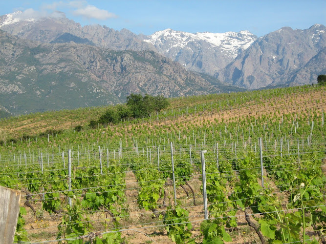 Domaine A Ronca