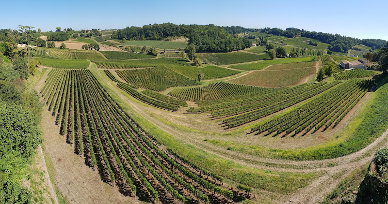 Château La Croizille, Saint-Emilion Grand Cru Classé