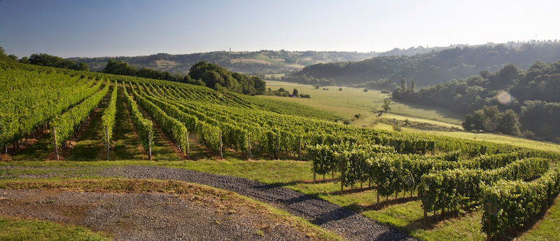 Domaine Montesquiou