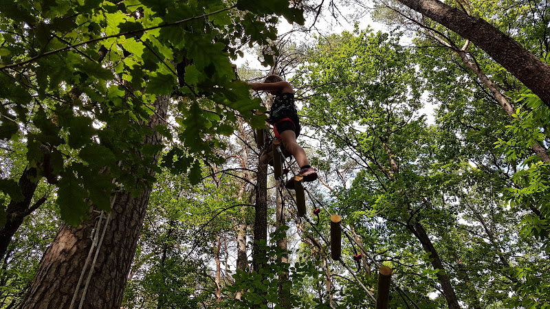 Les Tyroliennes de la Forêt
