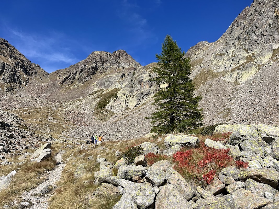 Forêt de la Vésubie