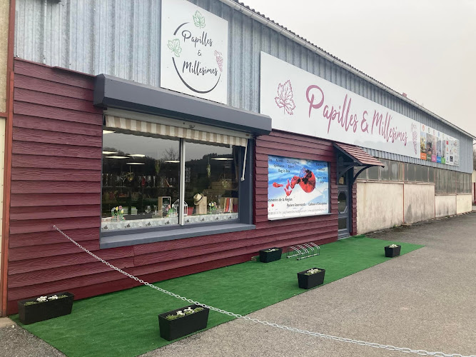 Papilles et Millésimes