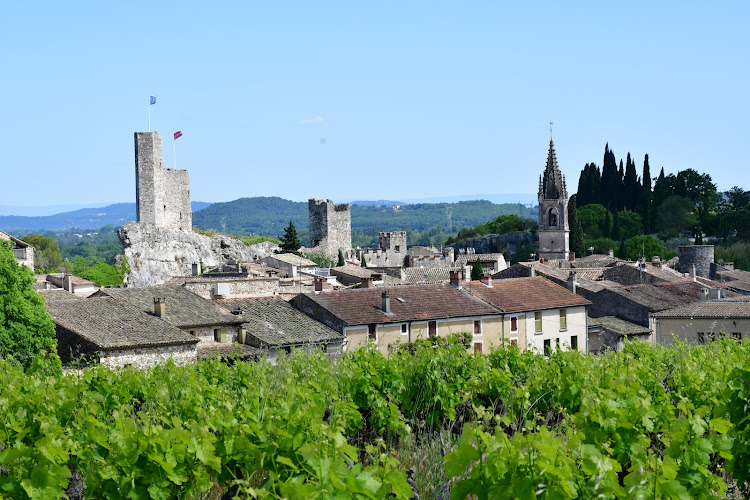 Domaine TOUR PARADIS